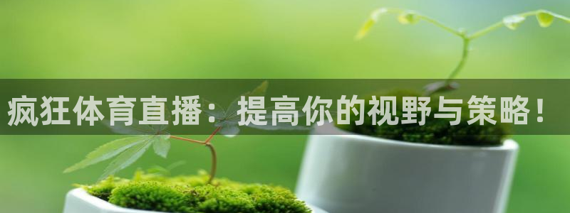 新宝5登录测速：疯狂体育直播：提高你的视野与策略！