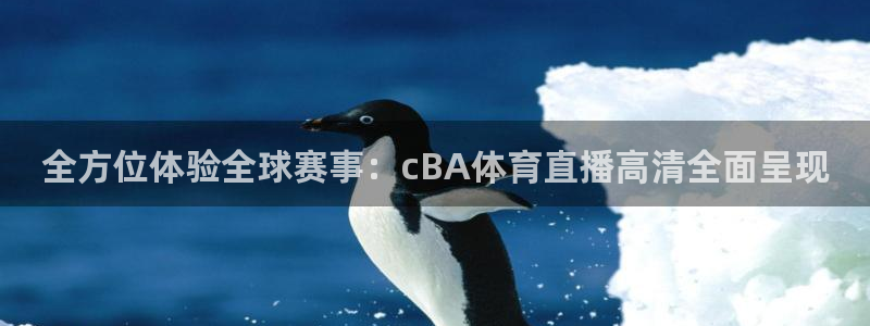 新宝5测速登陆：全方位体验全球赛事：cBA体育直播高清全面呈现
